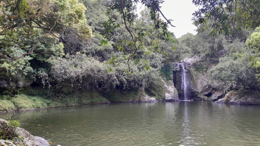 Cascade bœuf Réunion randonnée à la Réunion 