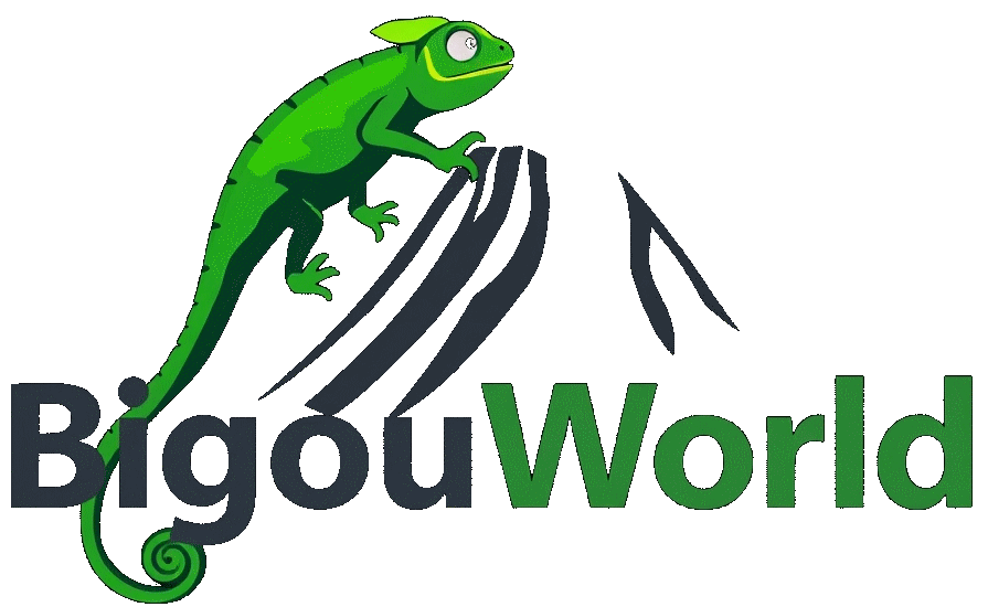 logo bigouworld.com