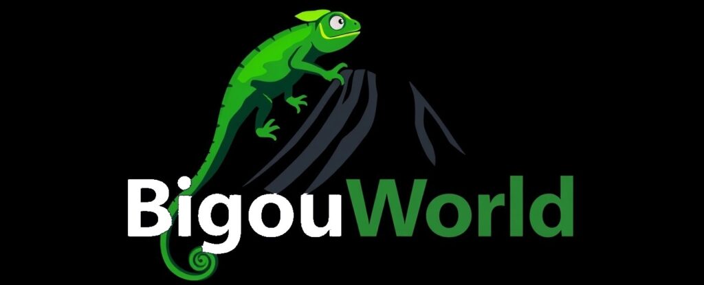 logo 2 bigouworld.com